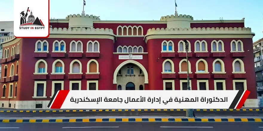 الدكتوراة المهنية في إدارة الأعمال جامعة الإسكندرية