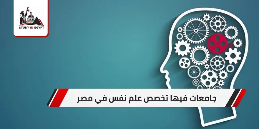 جامعات فيها تخصص علم نفس في مصر