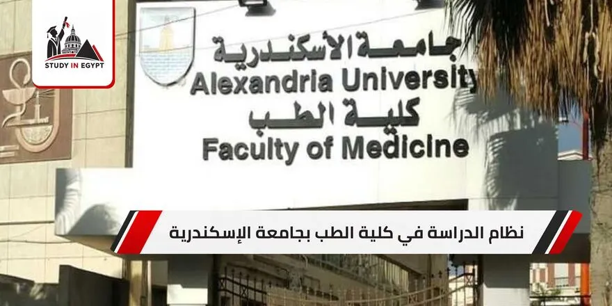 نظام الدراسة في كلية الطب بجامعة الإسكندرية