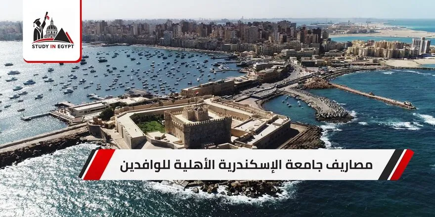 مصاريف جامعة الإسكندرية الأهلية للوافدين